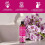Vitax Vitax Orchid Liquid Feed 250ml Concentrated 3