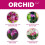 Vitax Vitax Orchid Liquid Feed 250ml Concentrated 5