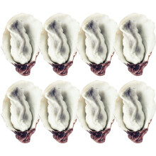 24Pcs Realistic Artificial Oyster Models Durable PVC Fake Food Props