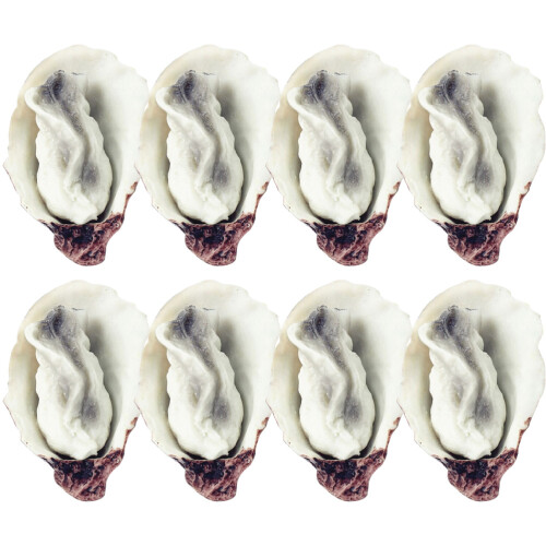 24Pcs Realistic Artificial Oyster Models Durable PVC Fake Food Props