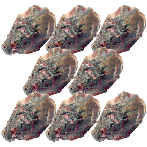 24Pcs Realistic Artificial Oyster Models Durable PVC Fake Food Props 2