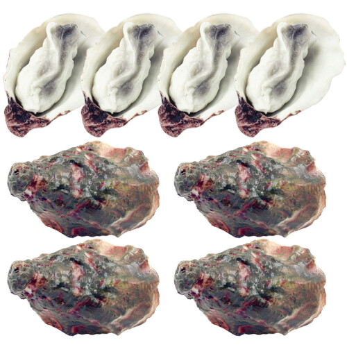 24Pcs Realistic Artificial Oyster Models Durable PVC Fake Food Props 1