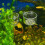 Récipient Nourriture Poisson Transparent Pour Aquarium 10