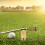 10Pcs Multi-Functional Bamboo Golfs Lawn Repair Fork Sports Tool 6