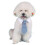 Huisdieraccessoires Strikjes En Bruiloften 3