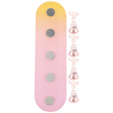 decorative nail display holders set for training and beauty use