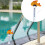 Goldfish Floating Pool Thermometer Plastic Cartoon Style Orange 4