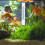 Goldfish Floating Pool Thermometer Plastic Cartoon Style Orange 10