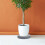 Durable Dark Grey Plastic Plant Mover Rolling Pot Tray 7