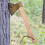 Poignée En Bois Khaki Pour Hachette Courte Usage Domestique 4