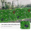 Faux Green Wall Module Plastic 1 Pc 23.6x15.7in 5
