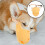 Orange Dog Muzzle for Small Dogs Breathable Anti Bite Lick Cover 10