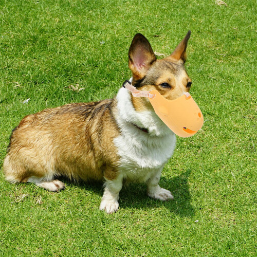 Orange Dog Muzzle for Small Dogs Breathable Anti Bite Lick Cover 2