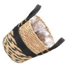 Seagrass Plant Basket with Handle, Natural Woven Storage for Indoor Flowers and Home Decor