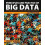 Principles and Practice of Big Data by Berman Jules J. Freelance autho 1