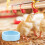 Bowl Smooth Surface Feeder Poultry Food Container 4