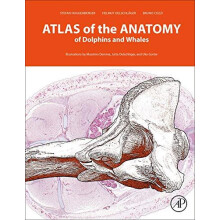 Atlas of the Anatomy of Dolphins and Whales by Cozzi Bruno Department