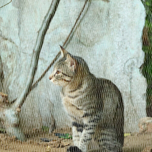Filet De Sécurité Balcon Résistant En Nylon Blanc Animalier 2