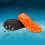 1 Pair Aldult Snorkeling Socks 2
