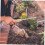 Dandelion Weeder with Ergonomic Wooden Handle, Durable Iron Garden Weed Puller Tool 3