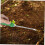 Weeding Tool with Ergonomic Handle, Lightweight Handheld Dandelion Removal for Easy Gardening 2