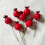 50Pcs Pomegranate Decoration Props Red Long-Lasting Creative Display 11