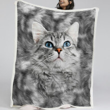 Cat Blanket Twin Size Grey Sherpa Throw Ultra Soft Warm All Season for Bed and Sofa 60x80