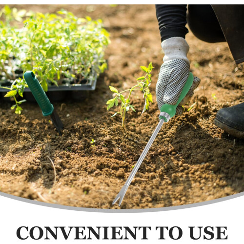 Weeding Tool with Ergonomic Handle and Sharp Tip for Vegetable Garden Grass Removal 2