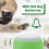 Green Recordable Dog Buttons Durable ABS for Pet Training Fun 11