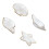 4 Stuks Fruit Presenteerborden Transparant Goud 3