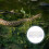 1Stk Reptilien Futterbehälter Mit Doppeltem Saugnapf 3