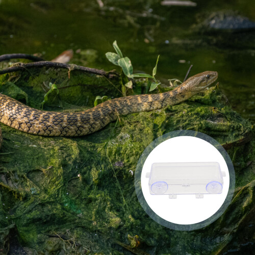 1Stk Reptilien Futterbehälter Mit Doppeltem Saugnapf 2