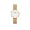 Daniel Wellington Daniel Wellington Kobietyzegarek DW00100350 1