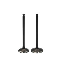 Motorcycle Intake Valve Stem Pair for Suzuki LTF400F LTF500F Smooth Engine Performance