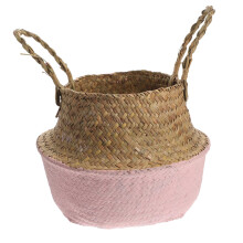 Woven Plant Basket Seagrass Storage with Handles for Succulents, Cacti and Indoor Decor
