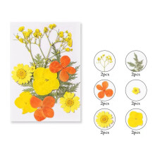 Kayannuo Easter Decor Clearance Colorful Natural Dried Flowers And Embossed Decorative Set Home Decor Living Room