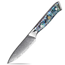 3.5 Inch Damascus Paring Knife Ultra Sharp Blade Abalone Handle Fruit and Chef Knife for Kitchen