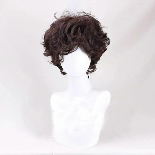 Ταινία Frodo Baggins Περούκα Cosplay Ενήλικες Άνδρες Καφέ Κοντό Σγουρά Μαλλιά Styling Ανθε 1