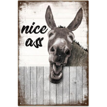 "Nice Ass" Vintage Metal Tin Sign 12x8in Retro Farm Donkey Wall Decor for Home Bar Club compatible with orchard decoration