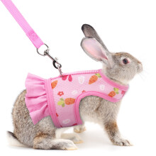 Rabbit Harness & Leash, Escape-Proof Carrot Pattern Mesh Vest, Breathable Bunny Harness Compatible with Ferret, Kitten, Puppy, Small Animals