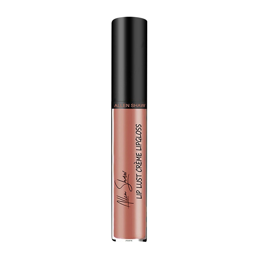 12 Colors Waterproof Long Lasting Liquid Lipstick and Shimmer Pearlescent Lip Gloss for Women