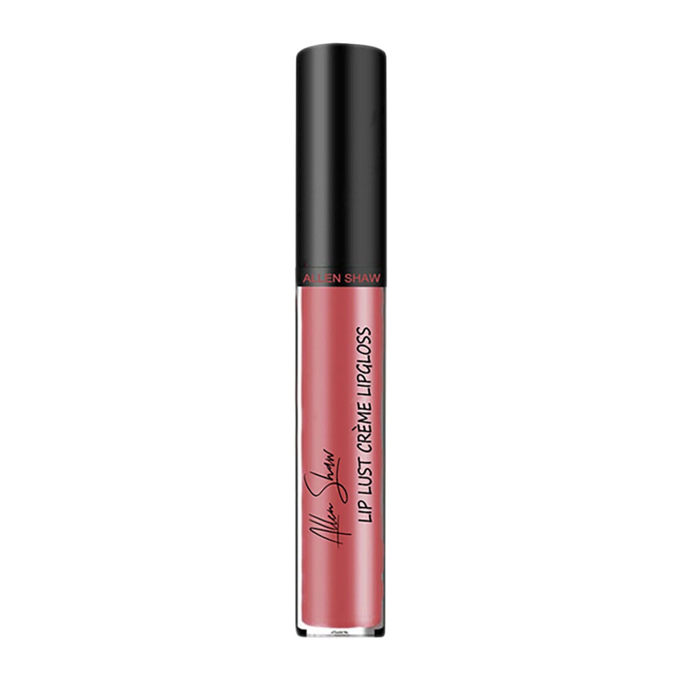 12 Colors Waterproof Long Lasting Liquid Lipstick and Shimmer Gloss Lip Makeup for Women