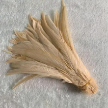 50pcs Rooster Tail Feather Plumes 25-45cm Beige, DIY Dyed Cock Tail for Clothing, Jewelry, Performance Accessories, Champagne 16-18inch