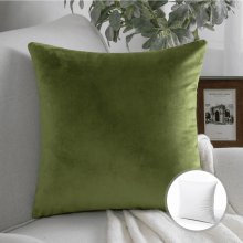 Phantoscope Christmas holiday Decorative Throw Pillow with insert, Silky Velvet Series, 22" x 22", Light Green, 1 Pack