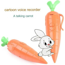 Kids Carrot Recorder Pen Toy Also As Cute Ballpoint Pen For Boys Girls 20s Recording Pen For Kids Recording Ink Pens Lot (Orange, One Size)