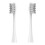 10 replacement heads for electric toothbrushes compatible with Gray 1