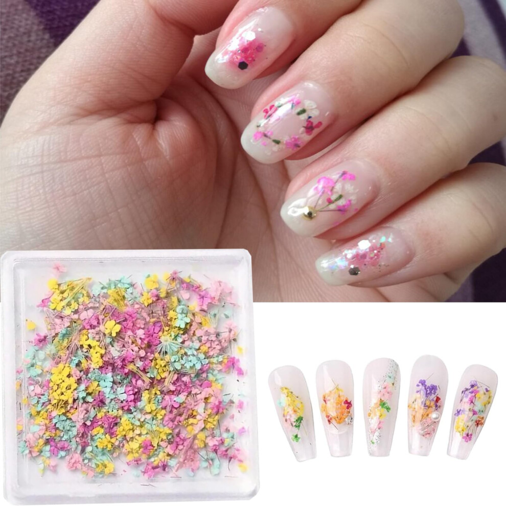 3D Dried Flowers Nail Art Decorations, Real Floral Decals for Acrylic Nails Manicure Accessories