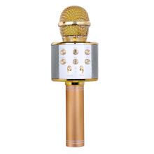 Eccomum Professional BT Wireless Microphone Karaoke Speaker KTV Music Player Singing Recorder Handheld Microphone Gold