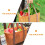 Eease Woven Picnic Basket with Handle for Shopping and Storage 3