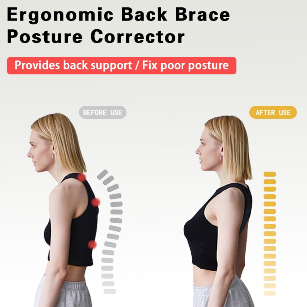 Spine Corset Support Belt for Posture & Scoliosis Therapy, Compatible with Dazzduo Pristin Spine and Orthosis